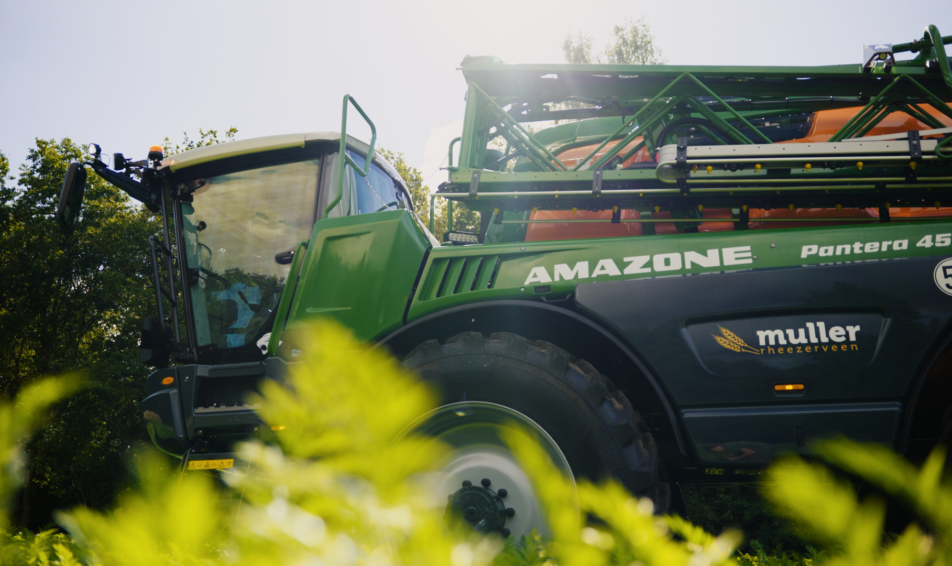 Header Amazone Pantera